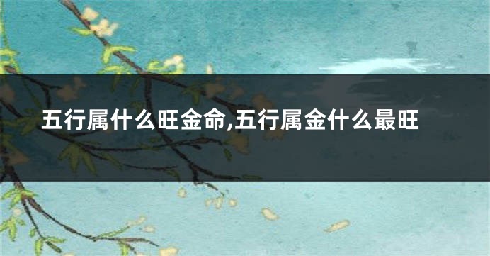 五行属什么旺金命,五行属金什么最旺