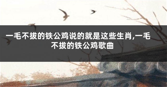 一毛不拔的铁公鸡说的就是这些生肖,一毛不拔的铁公鸡歌曲