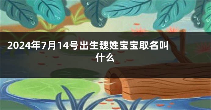 2024年7月14号出生魏姓宝宝取名叫什么