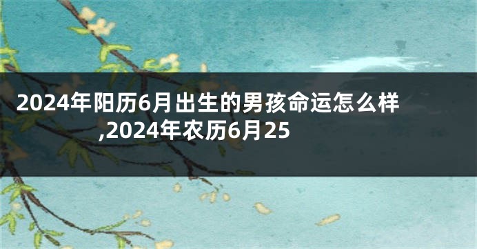 2024年阳历6月出生的男孩命运怎么样,2024年农历6月25