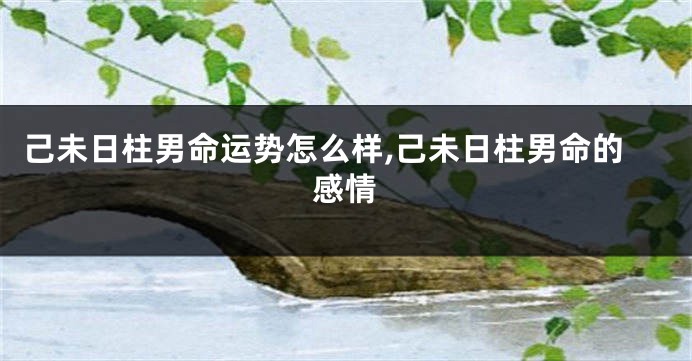 己未日柱男命运势怎么样,己未日柱男命的感情