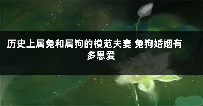 历史上属兔和属狗的模范夫妻 兔狗婚姻有多恩爱