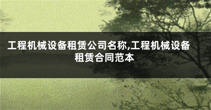 工程机械设备租赁公司名称,工程机械设备租赁合同范本