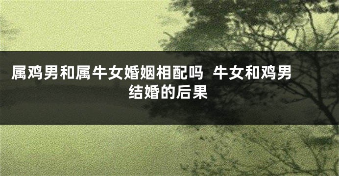 属鸡男和属牛女婚姻相配吗  牛女和鸡男结婚的后果