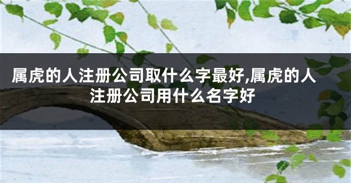 属虎的人注册公司取什么字最好,属虎的人注册公司用什么名字好