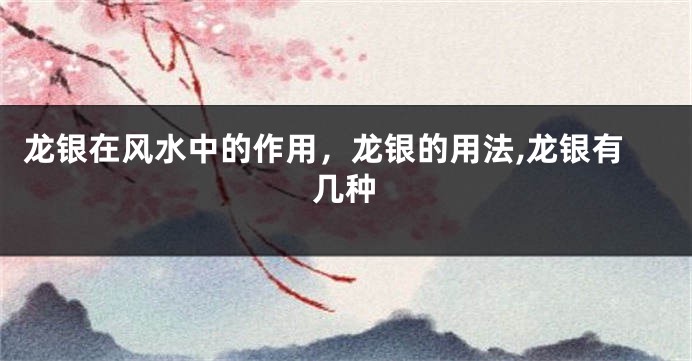 龙银在风水中的作用，龙银的用法,龙银有几种