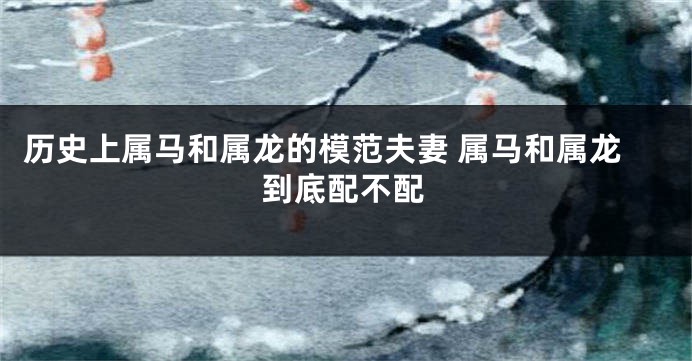 历史上属马和属龙的模范夫妻 属马和属龙到底配不配