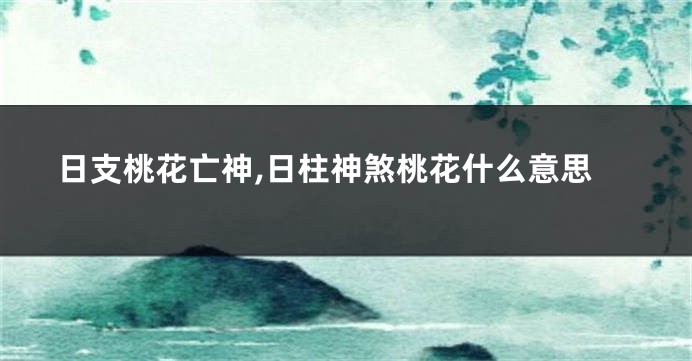 日支桃花亡神,日柱神煞桃花什么意思