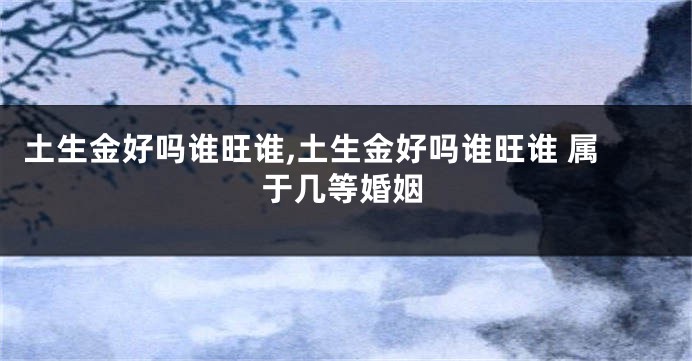 土生金好吗谁旺谁,土生金好吗谁旺谁 属于几等婚姻