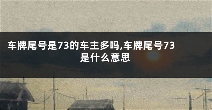 车牌尾号是73的车主多吗,车牌尾号73是什么意思