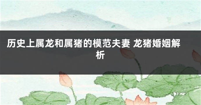历史上属龙和属猪的模范夫妻 龙猪婚姻解析