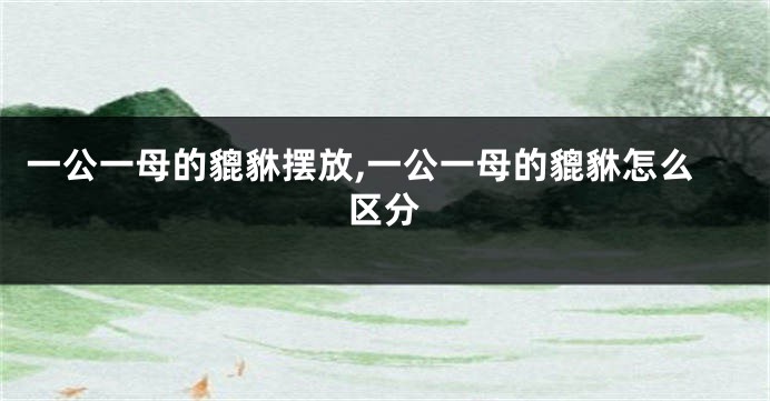 一公一母的貔貅摆放,一公一母的貔貅怎么区分