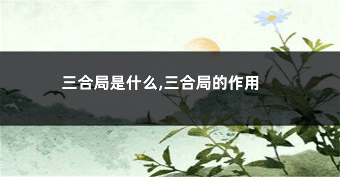 三合局是什么,三合局的作用