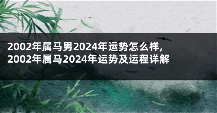 2002年属马男2024年运势怎么样,2002年属马2024年运势及运程详解