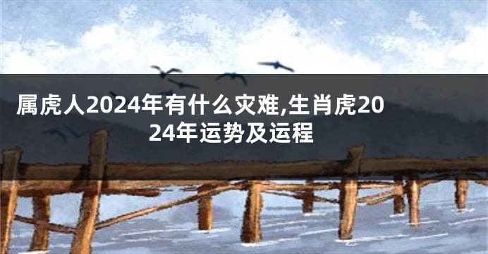 属虎人2024年有什么灾难,生肖虎2024年运势及运程