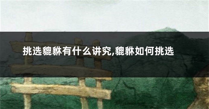 挑选貔貅有什么讲究,貔貅如何挑选