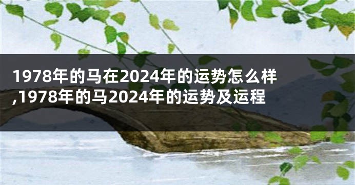 1978年的马在2024年的运势怎么样,1978年的马2024年的运势及运程