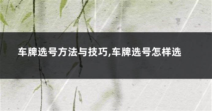 车牌选号方法与技巧,车牌选号怎样选
