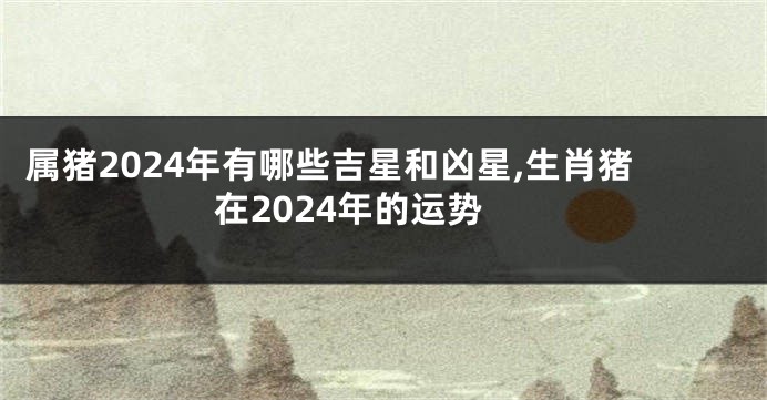 属猪2024年有哪些吉星和凶星,生肖猪在2024年的运势
