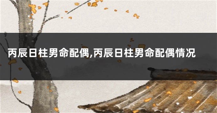 丙辰日柱男命配偶,丙辰日柱男命配偶情况