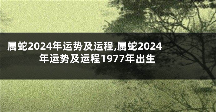 属蛇2024年运势及运程,属蛇2024年运势及运程1977年出生