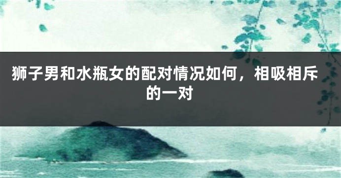 狮子男和水瓶女的配对情况如何，相吸相斥的一对
