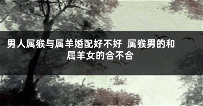 男人属猴与属羊婚配好不好  属猴男的和属羊女的合不合