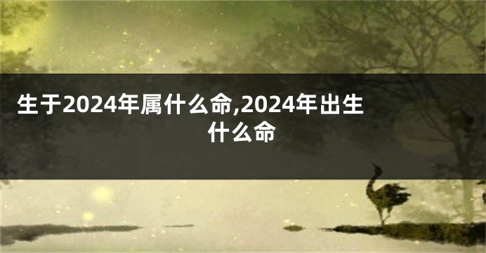 生于2024年属什么命,2024年出生什么命