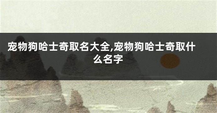 宠物狗哈士奇取名大全,宠物狗哈士奇取什么名字
