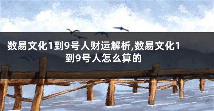 数易文化1到9号人财运解析,数易文化1到9号人怎么算的