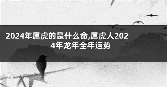 2024年属虎的是什么命,属虎人2024年龙年全年运势