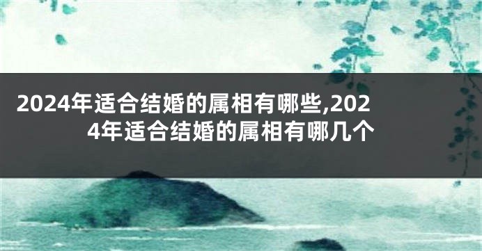2024年适合结婚的属相有哪些,2024年适合结婚的属相有哪几个