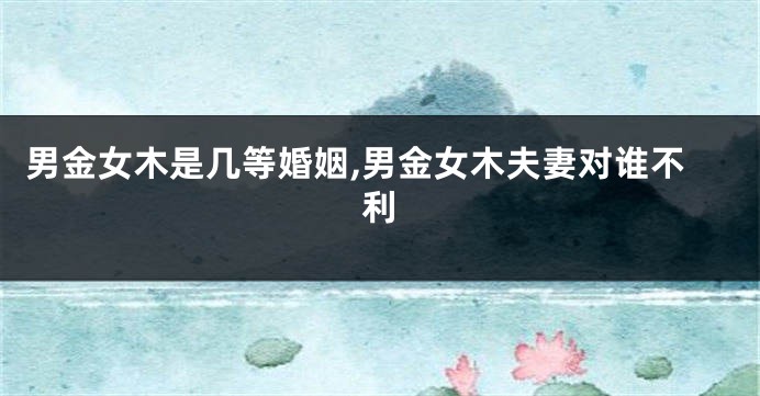 男金女木是几等婚姻,男金女木夫妻对谁不利