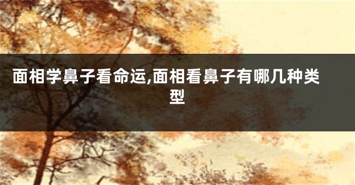面相学鼻子看命运,面相看鼻子有哪几种类型