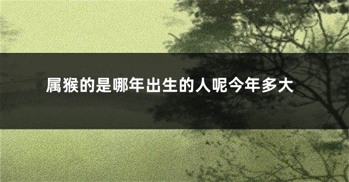 属猴的是哪年出生的人呢今年多大
