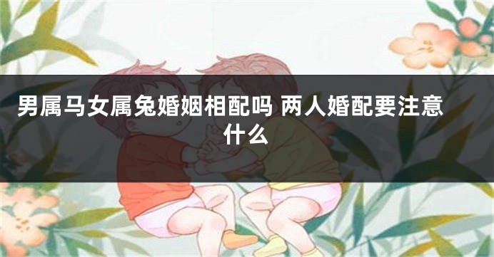 男属马女属兔婚姻相配吗 两人婚配要注意什么