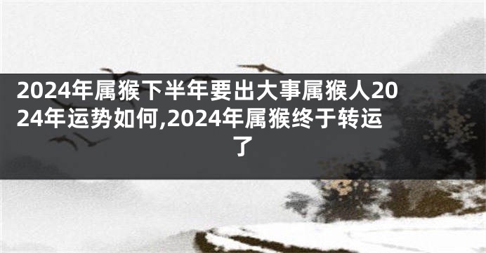 2024年属猴下半年要出大事属猴人2024年运势如何,2024年属猴终于转运了