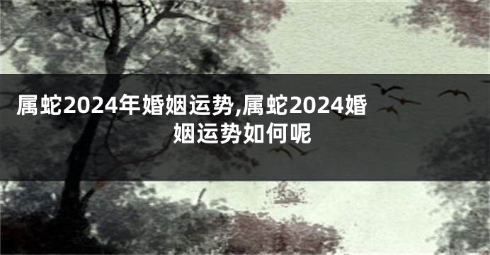 属蛇2024年婚姻运势,属蛇2024婚姻运势如何呢