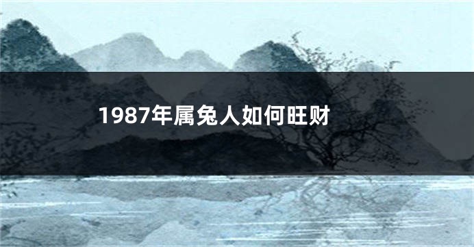 1987年属兔人如何旺财