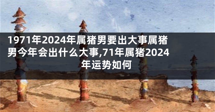 1971年2024年属猪男要出大事属猪男今年会出什么大事,71年属猪2024年运势如何
