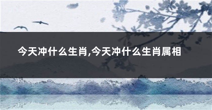 今天冲什么生肖,今天冲什么生肖属相