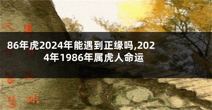 86年虎2024年能遇到正缘吗,2024年1986年属虎人命运