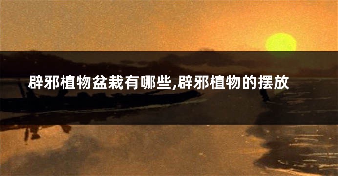 辟邪植物盆栽有哪些,辟邪植物的摆放