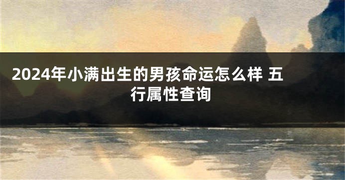 2024年小满出生的男孩命运怎么样 五行属性查询