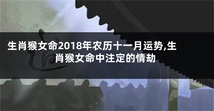 生肖猴女命2018年农历十一月运势,生肖猴女命中注定的情劫