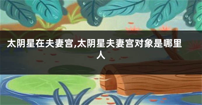 太阴星在夫妻宫,太阴星夫妻宫对象是哪里人