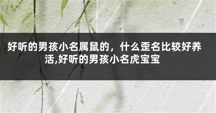 好听的男孩小名属鼠的，什么歪名比较好养活,好听的男孩小名虎宝宝
