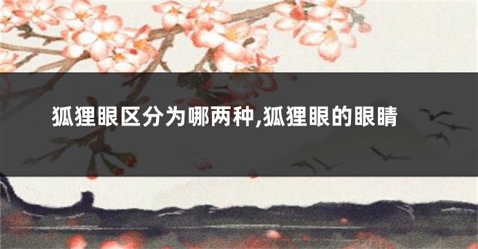 狐狸眼区分为哪两种,狐狸眼的眼睛