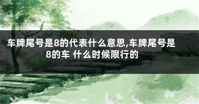 车牌尾号是8的代表什么意思,车牌尾号是8的车 什么时候限行的