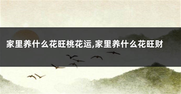 家里养什么花旺桃花运,家里养什么花旺财